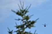Morten 14 juni 2025 - Politihelikopter over Høyenhall, og her manglet vi fuglen. Det gjorde vi 14 juni 2022 også, men da fikk vi med oss kveldsolen