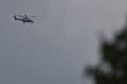 Morten 17 juni 2025 - Politihelikopter over Høyenhall, jeg husker 17 juni 2022 og 17 juni 2024, på en av datoene fikk vi med en låvesvale