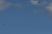 Morten 9 juni 2025 - Politihelikopter og LN-TEX møtes over Høyenhall