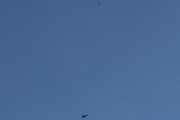 Morten 10 mai 2025 - Politihelikopter over Høyenhall, klokken er 17.30 og jeg får den med en fugl