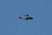 Morten 28 mai 2025 - Politihelikopter over Høyenhall, klokken er 11.52 og jeg fant ikke noen fugler. Jeg fant politiet den 28 mai 2022 og 28 mai 2023 også, så da kan vi velge