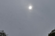 Morten 29 mai 2025 - Politihelikopter over Høyenhall, klokken er 17.32 og jeg får med solen