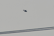Morten 31 mai 2025 - Politihelikopter over Høyenhall