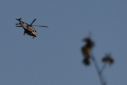 Morten 6 mai 2025 - Politihelikopter over Høyenhall