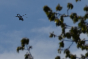 Morten 9 mai 2025 - Politihelikopter over Høyenhall, jeg ser etter et fly, kanskje solen, eller en fugl. Men ikke denne gangen