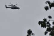 Morten 1 oktober 2025 - Politihelikopter over Høyenhall, jeg ønsker meg alltid en fugl, men ikke denne gangen