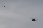 Morten 13 oktober 2025 - To Bell 412 over Høyenhall