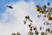 Morten 17 oktober 2025 - Politihelikopter over Høyenhall, og det ble ingen fugl denne gangen heller