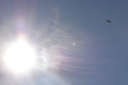 Morten 18 oktober 2025 - Politihelikopter over Høyenhall igjen, klokken er 13.40 og jeg får dem sammen med solen. Jeg er ganske sikker på at det er LN-ORA vi har sett hele tiden