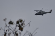 Morten 20 oktober 2025 - LN-ORA over Høyenhall, når dem ser at jeg kommer på verandaen så begynner vi å lete etter fugler