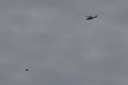 Morten 20 oktober 2025 - LN-ORA over Høyenhall, men her kommer fuglen, dere skulle bare ha visst hvordan jeg jobber med den :-)