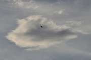 Morten 8 oktober 2025 - Politihelikopter over Høyenhall, her er skyen, kan det bli vakrere?