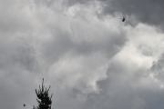 Morten mandag 8 september 2025 - LN-ORA besøker Høyenhall, men det var mandag 13 september 2021, og da så jeg dere ikke. Det var kanskje ikke noe trusselbilde den dagen i koronatiden? Dere ser fuglen?