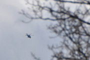 Morten 11 april 2026 - Politihelikopter over Drøbak