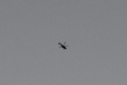 Morten 30 april 2026 - Politihelikopter over Høyenhall om natten