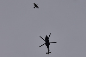 Helikoptre 2026 januar
