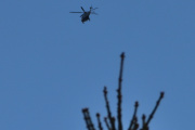 Morten 10 mai 2026 - Politihelikopter over Høyenhall
