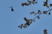 Morten 10 mai 2026 - Robinson R44 over Høyenhall