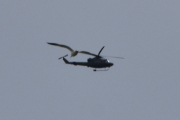 Morten 13 mai 2026 - Bell 412 over Høyenhall