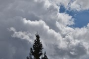 Morten 17 mai 2026 - Politihelikopter over Høyenhall