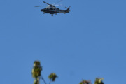 Morten 20 mai 2026 - Politihelikopter over Høyenhall