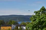 Morten 22 mai 2026 - Bell 412HP nr. 145 over Drøbak