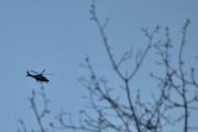Morten 31 mars 2026 - Politihelikopter over Høyenhall om kvelden