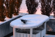 2 desember 2017 - Den usynlige Skjæra, du er så rask og skvetten
