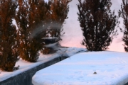 2 desember 2017 - Den usynlige Skjæra, dette er jo rart