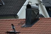 22 juni 2017 - ny ferd og de voksne passer på
