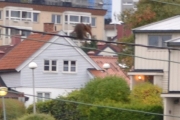 23 september 2017 - Du ser den her oppe