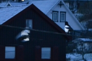19 november 2017 - huff dette er tidlig om morgenen
