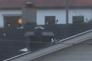 10 oktober 2017 - Når du mater Skjæra morgen og kveld i flere år kan det hende du for ekstra middagsgjester