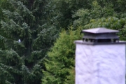 26 august 2018 - En skjære til holder også oversikt, hvorfor det?