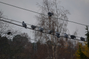 4 november 2018 - Bare og være litt tålmodig, nå er det 9 stykker igjen