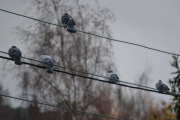 4 november 2018 - Men de siste 5 sitter der enda så nå må noe gjøres