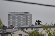 4 oktober 2018 - Og der drar Kråka, vi ser ikke mer til den i dag
