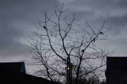 1 januar 2018 - Vi avslutter med et bilde fra slutten av 1 Nyttårsdag