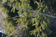 2 april 2018 - Det jobbes hardt