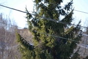 2 april 2018 - Sjefen sa ja i går, og nå er de i gang