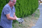 9 juni 2018 - Tunga rett i munn nå så jeg ikke skader den