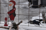 29 desember 2018 - Og stikker av gårde