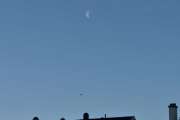 30 desember 2018 -  Siste bilde på morrakvisten, månen og fuglen