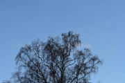 30 desember 2018 -  Stå opp tidlig er flott når det er sånn vær som dette