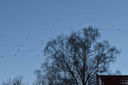 30 desember 2018 -  Står bare på verandaen og nyter utsikten - fantastisk
