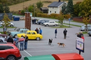 Ser dere godt etter nå, løper en førerløs hund på plassen