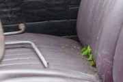 Det gror faktisk mose inne i bilen også, dette er heller ikke noe du ser hver dag