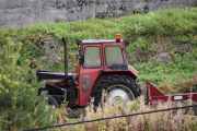 Oppe i skråningen ser jeg en  Massey Ferguson og det er en veteran. Nå bare gjetter jeg bare, rundt 1960 - 1970