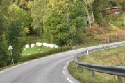 Nå skal ikke jeg kritisere at det er en bussholdeplass rett i en sving hvor det er sauer