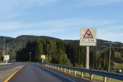 Dette skiltet kjøper jeg, hvis det ikke er noen elg her, så vender du skiltet og får opp et rådyr istedenfor
